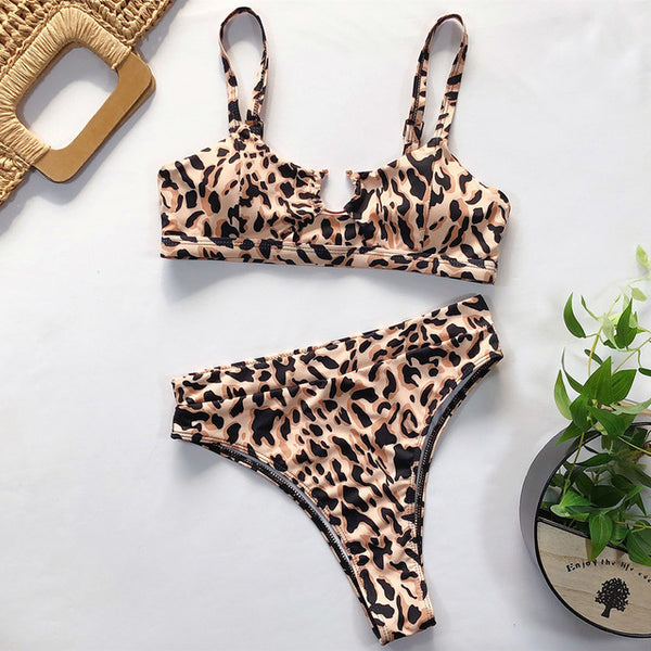 Sexy Snake Print Bikini 2019 Female Swimsuit Women Swimwear Thong Push Up Bikinis Set High Waist Swimming Suits for Bathing Suit
